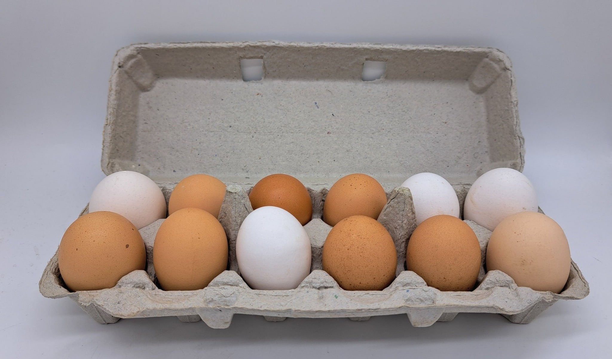 Eggs